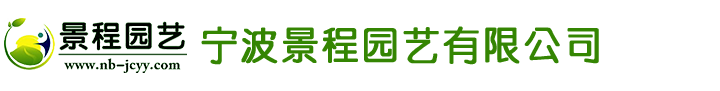 河南陽(yáng)之光幕墻有限公司